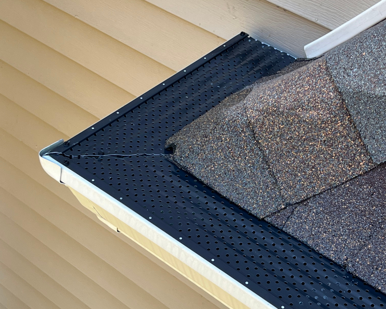 Gutter Protection and Leaf Guards